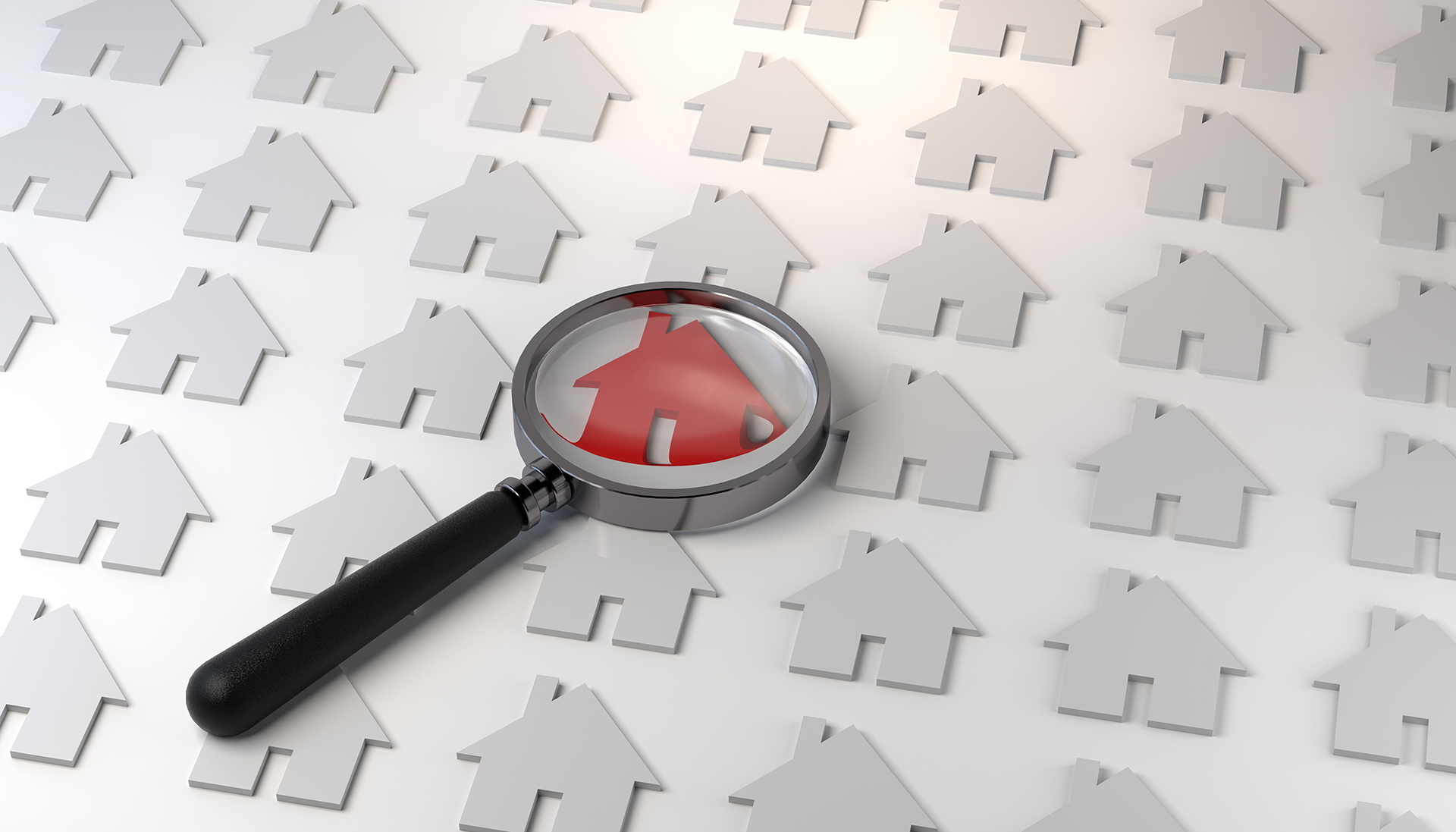 Immobilienmakler Makler Award Siegel Zertifikat Champion Auszeichnung